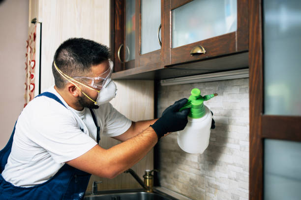 Best Pest Control Near Me  in Fredonia, NY