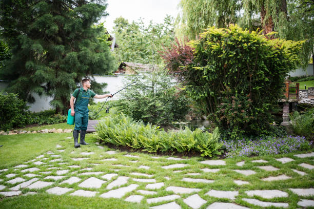 Best Residential Pest Control  in Fredonia, NY