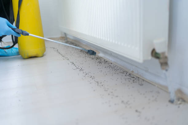 Best Pest Removal Services  in Fredonia, NY